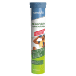 Recovery Drink Brausetabletten von sanotact